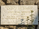 Dal Monte, Toti (id=7816)